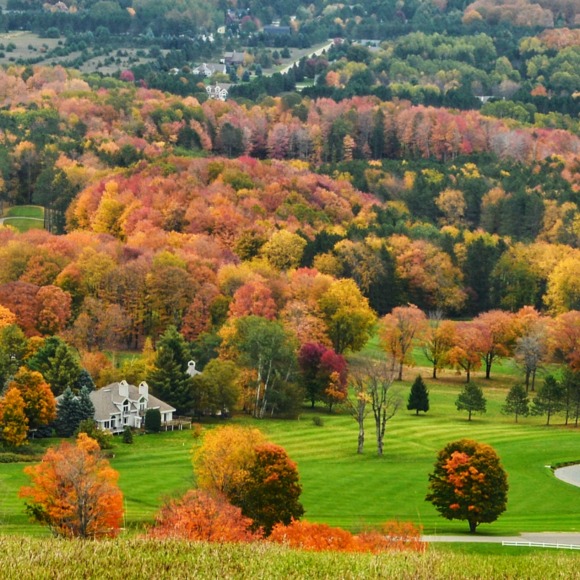 Meet your Posher, Vijetha - Picture 1 of 1